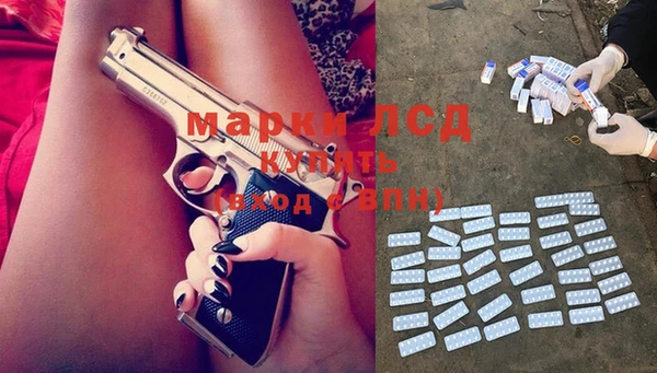 прущие грибы Абинск