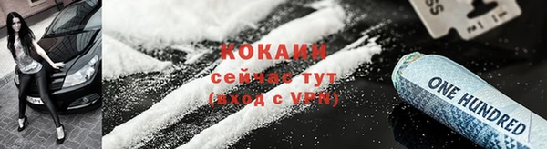 прущие грибы Абинск
