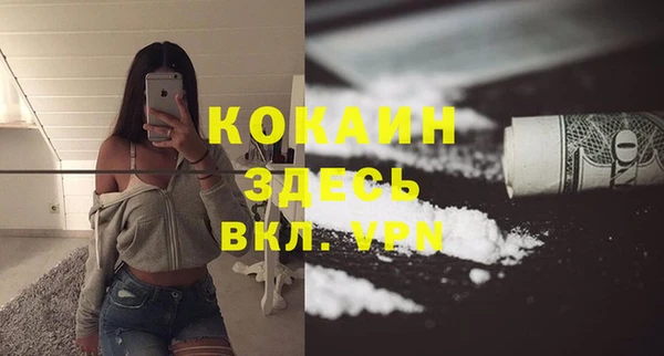 прущие грибы Абинск