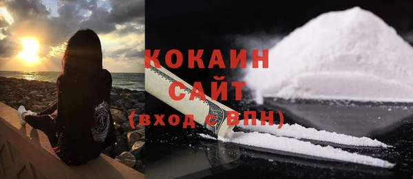 стаф Абаза