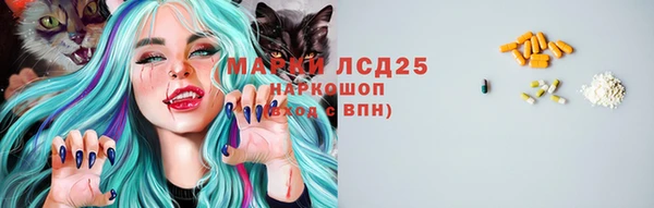 стаф Абаза