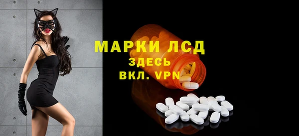 прущие грибы Абинск