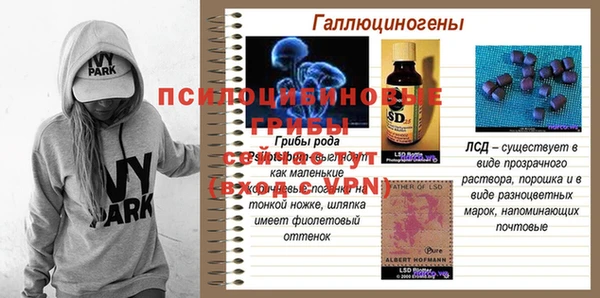 прущие грибы Абинск