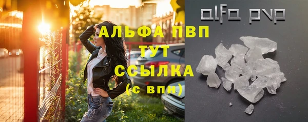 прущие грибы Абинск