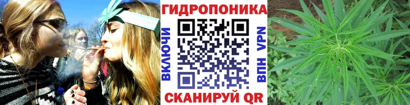 где купить наркоту  Сольцы  МАРИХУАНА семена 